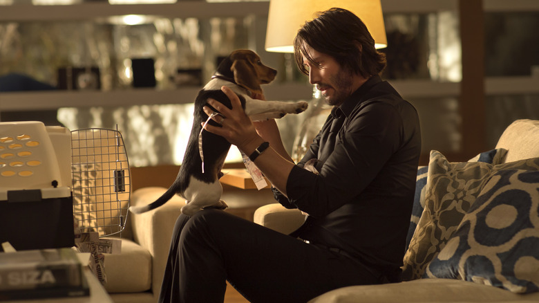 John Wick 2014 wick puppy