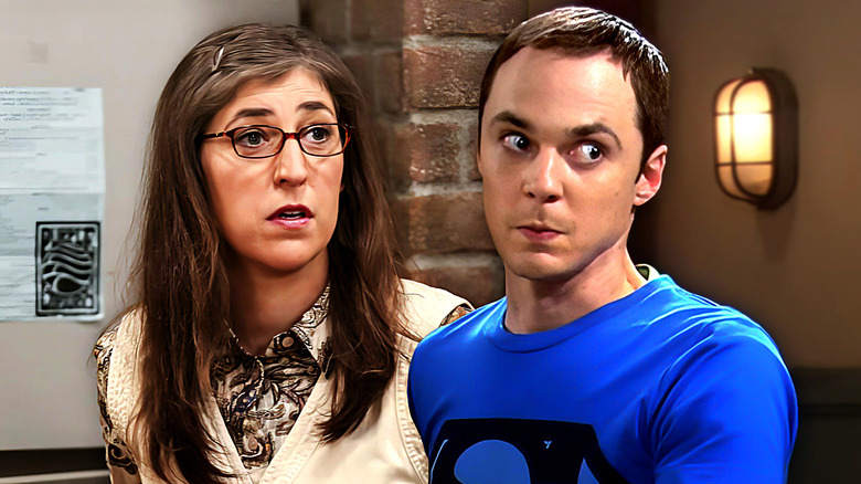 The Big Bang Theory, Amy and Sheldon